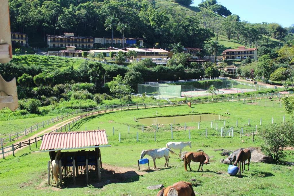 VillageMontana-cangurursp-home.jpg (266 KB)