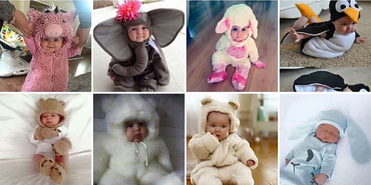 cvc_bichinhos.jpg (201 KB)