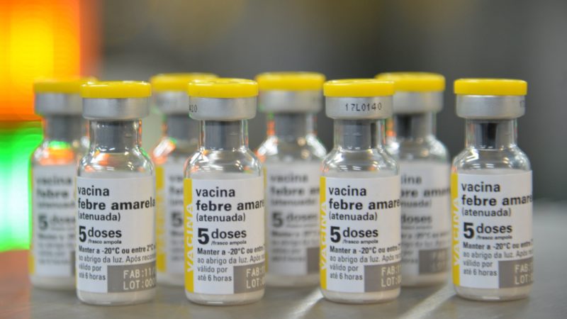 febre-amarela-rovenarosa_agenciabrasil.jpg (47 KB)
