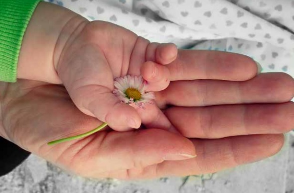 foto-padecendo.jpg (54 KB)