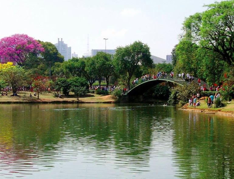 parque-ibirapuera-repface-cangurusp.jpg (132 KB)