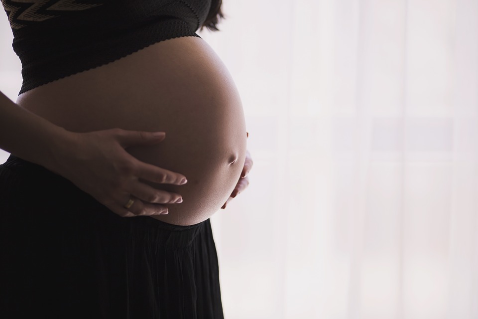 pregnant-1245703_960_720.jpg (42 KB)