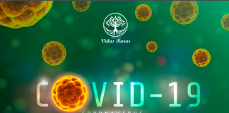 Imagem de fundo verde mostra vários coronavírus e traz o título Covid-19. Trata-se da capa da cartilha feita pelo Instituto Vidas Raras para orientar familiares e pacientes de doença rara quanto aos cuidados a tomar com o coronavírus