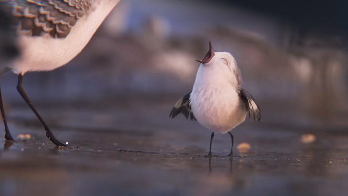 Curtas-metragens como Piper, cuja cena é vista nesta imagem que mostra dois passarinhos, permitem falar de valores e sentimentos com as crianças.