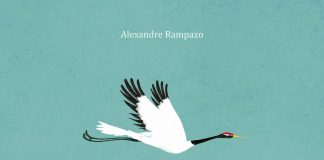 Capa do livro Um Belo Lugar, mostra uma ave branca voando sob fundo esverdeado; essa é uma das dicas de Tino Freitas de livros que abordam o tema da morte