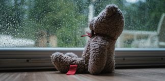Abuso sexual em crianças: como identificar a prática; imagem mostra urso de pelúcia sentando em frente a uma janela