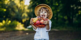 Por que as famílias devem consumir alimentos orgânicos; imagem mostra criança carregando frutas em área verde