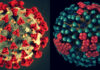 Modelo 3D do Coronavírus e modelo 3D do vírus Influenza