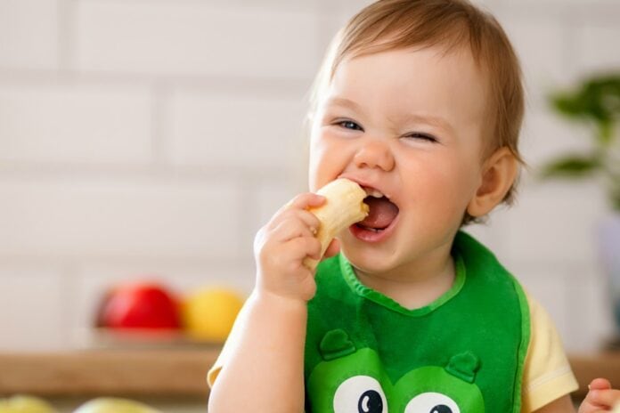 A primeira papinha: como se saber já é hora de ofertar alimentos ao bebê; bebê de babador verde segura sorridente banana na boca