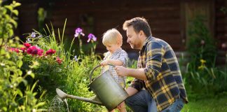 Horta caseira: dicas de plantas para cultivar em casa com as crianças