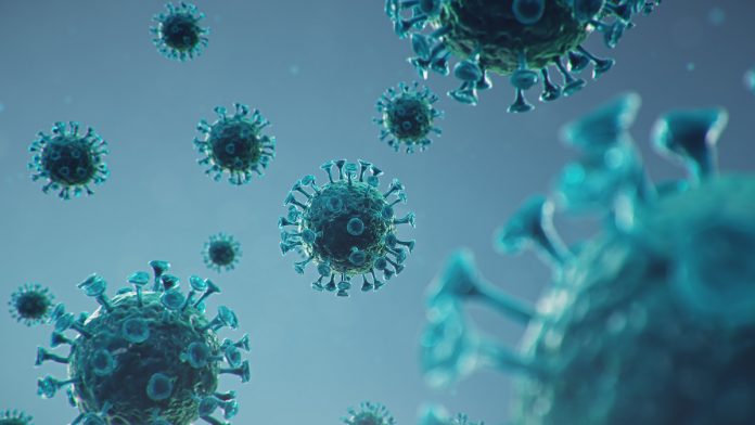 Minas confirma primeira morte por Síndrome Inflamatória Multissistêmica Pediátrica; ilustração em 3D mostra vários coronavírus de cor esverdeada