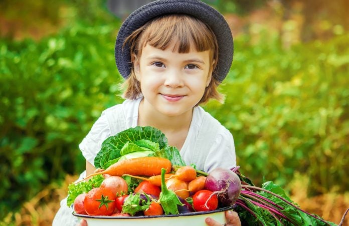 Obesidade infantil: pequenas ações que incentivam uma vida saudável; criança de chapéu em meio a uma plantação segura uma bandeja com vários legumes