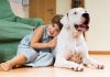 Um pet na pandemia: como os animais de estimação podem ajudar as crianças; Menina está sentada no chão com a cabeça sobre dorso de cachorro branco grande que está deitado no chão