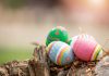 Por que ovos e coelhos são símbolos associados à Páscoa? ; ovos coloridos