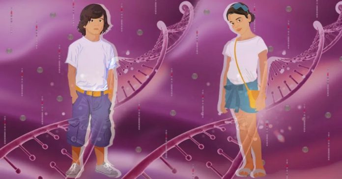 Estudo da USP diz ter descoberto causas da puberdade precoce; ilustração em tons lilás mostra menino e menina e desenho que remete a cromossomos