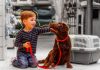 Há uma idade certa para dar um pet para as crianças?; menino segura coleira de cachorro e faz carinho no seu focinho