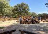 Fim de semana: 4 passeios ao ar livre para levar as crianças; Foto do parquinho com brinquedos de madeira no Ibirapuera