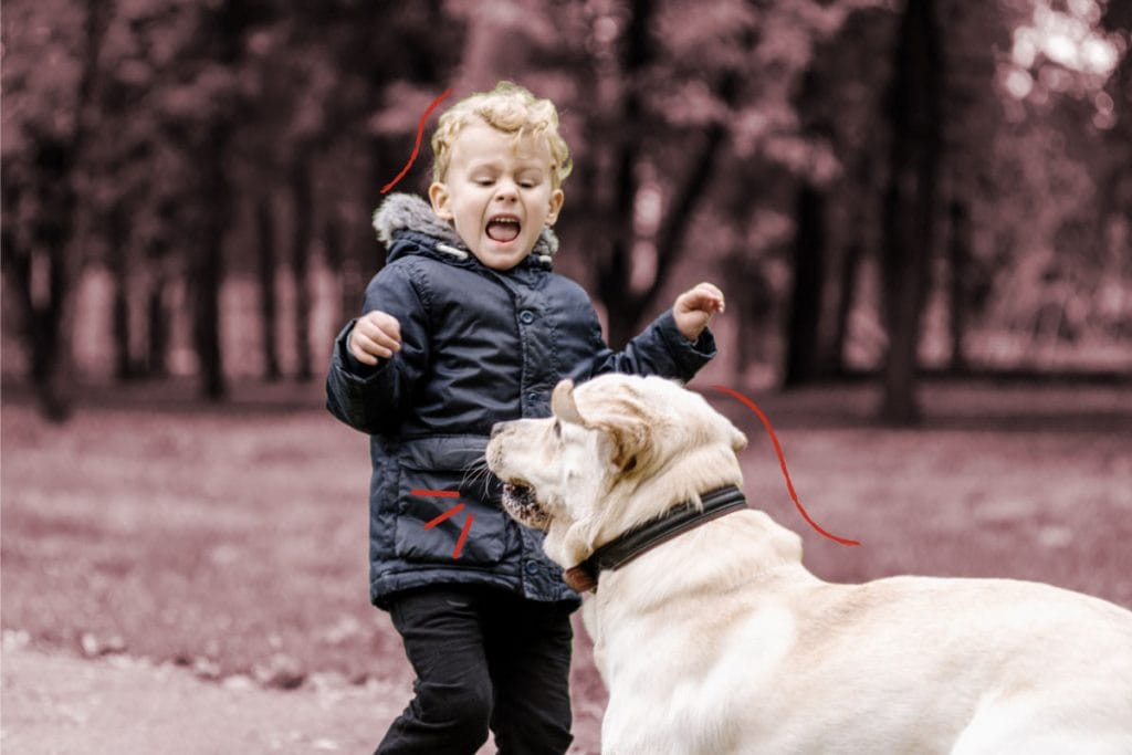 O que fazer quando a criança é mordida por um cachorro?; criança assustada gritando para um cachorro