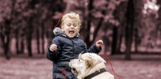 O que fazer quando a criança é mordida por um cachorro?; criança assustada gritando para um cachorro