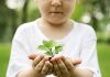Para pais e educadores: curso TiNis visa nutrir vínculo da criança com a natureza