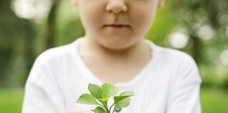 Para pais e educadores: curso TiNis visa nutrir vínculo da criança com a natureza