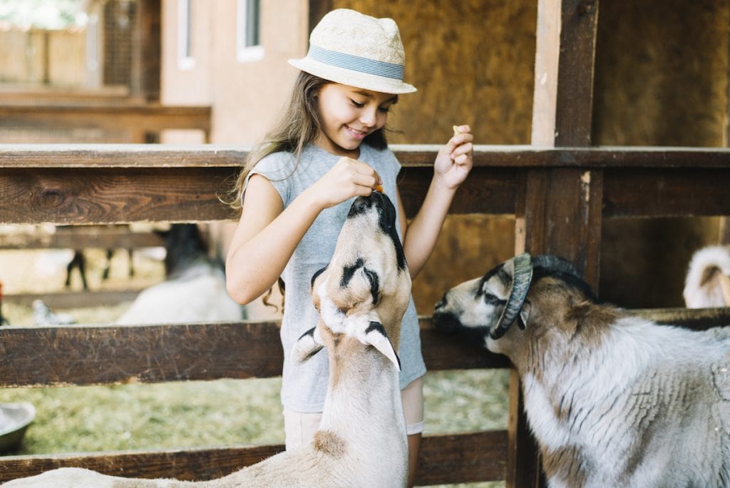 10 hotéis-fazenda para curtir as férias com as criançada
