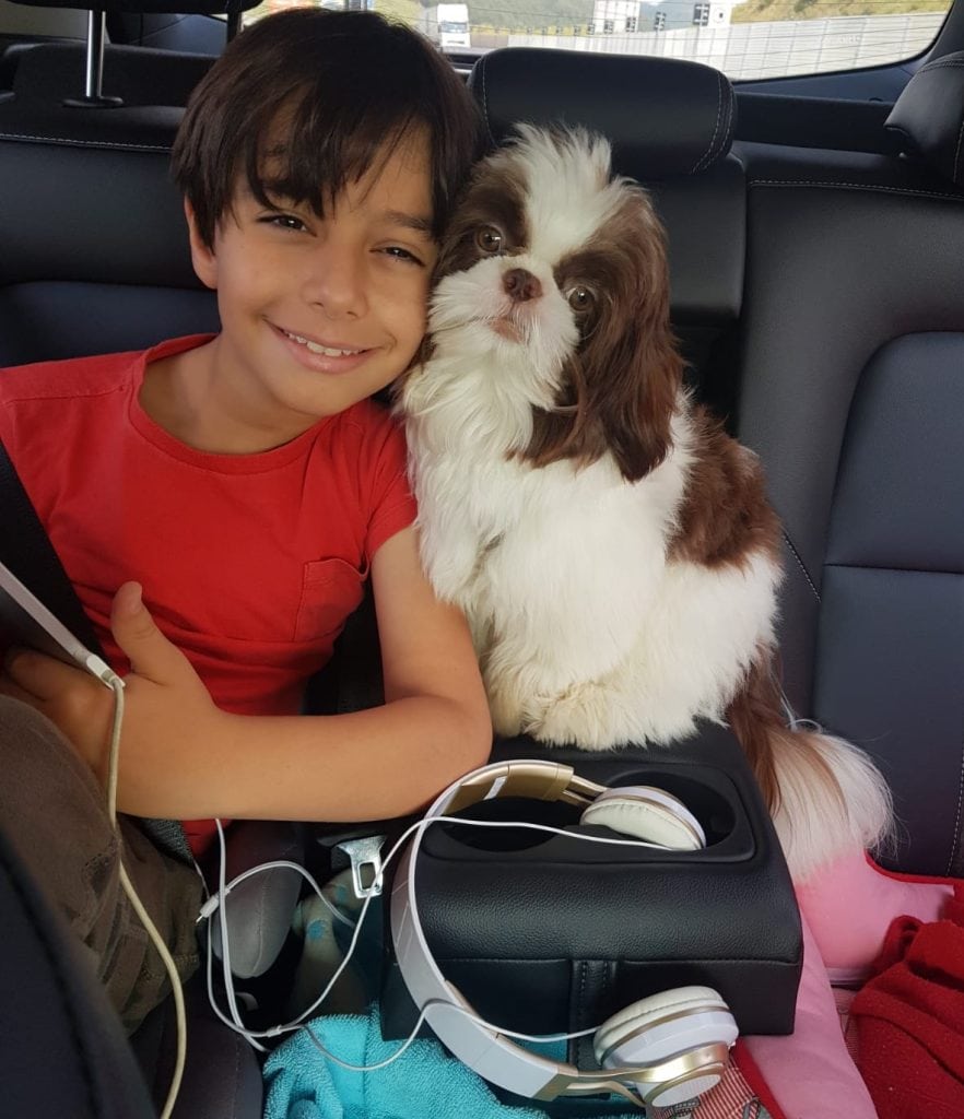 Nicolas, de 9 anos, e seu shih tzu Spike em uma viagem com pets no carro feita pela família