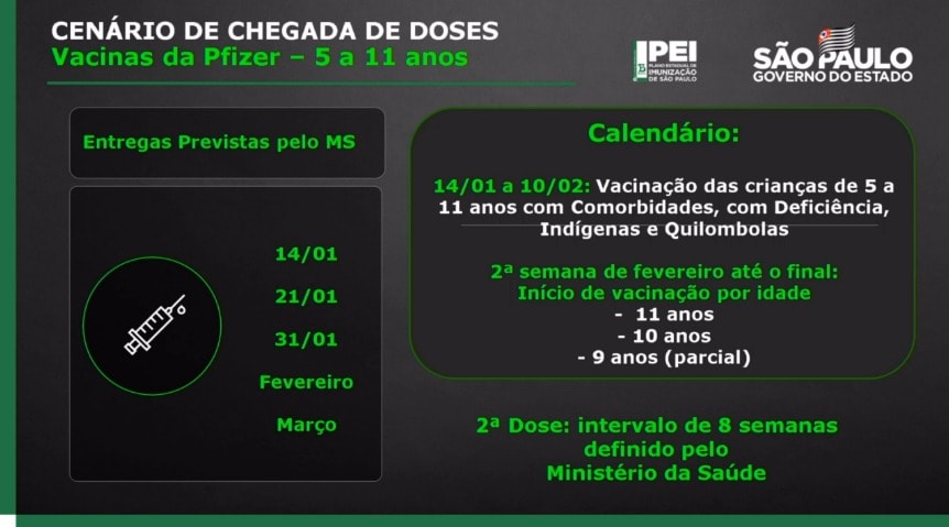 Cronograma de chegada de doses e estimativa do calendário de vacinação em São Paulo 