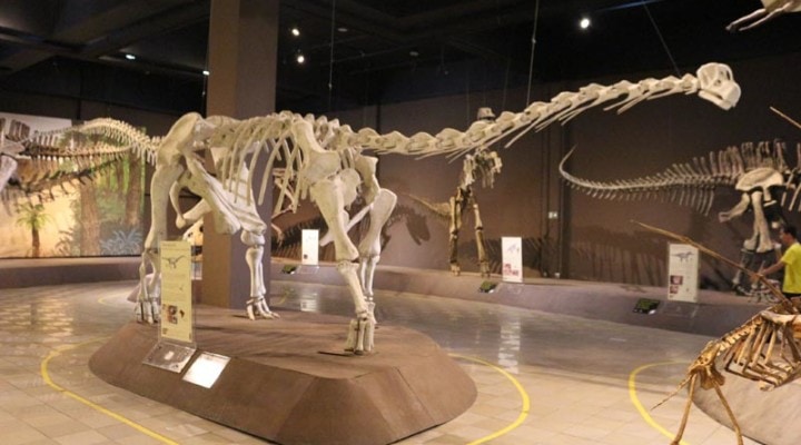 Esqueleto de dinossauro que faz parte da exposição do Museu de Ciências Naturais da PUC Minas