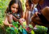 Crianças olham plantas com lupa