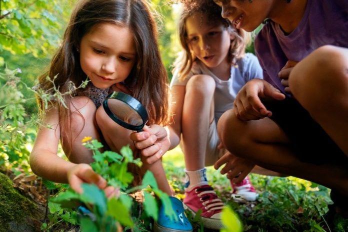 Crianças olham plantas com lupa