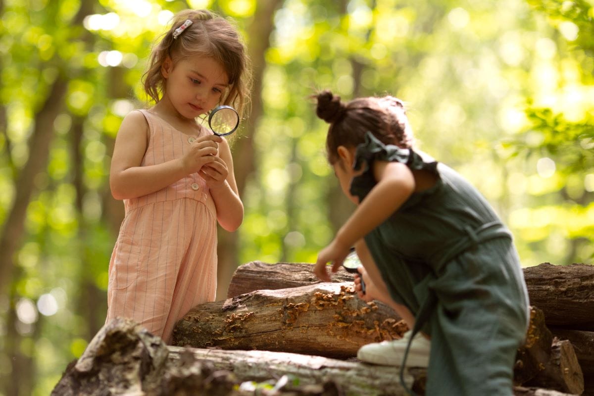 5 maneiras divertidas de incluir a natureza no dia a dia das crianças