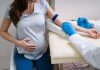 Mulher grávida faz exame de sangue pré-natal
