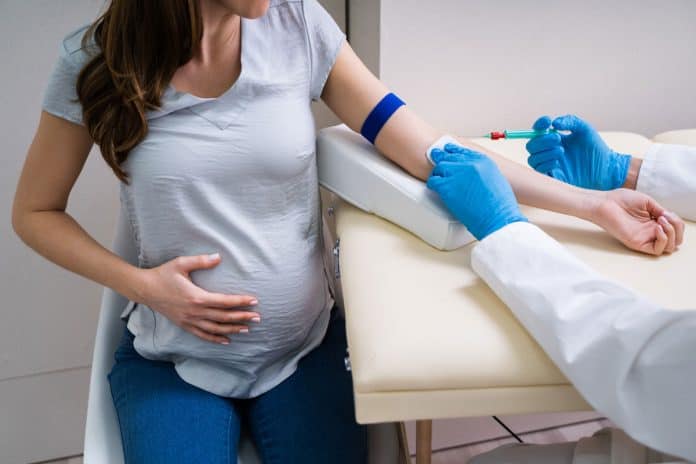 Mulher grávida faz exame de sangue pré-natal