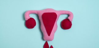 útero de pelúcia com menstruação; Menstruação: como ajudar as meninas com a chegada da menarca