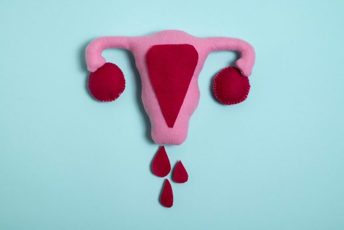 útero de pelúcia com menstruação; Menstruação: como ajudar as meninas com a chegada da menarca