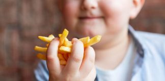 Menino obeso segura batatas fritas na mão