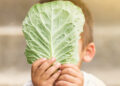 Criança segurando uma folha de alface
Foto: Freepik