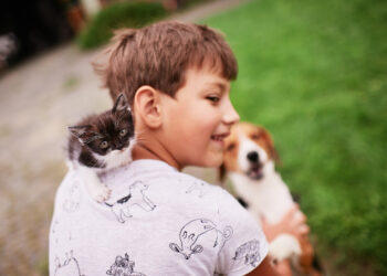 Sentir compaixão, respeitar limites e cuidar uns dos outros são habilidades socioemocionais que precisam ser ensinadas
Foto: Freepik