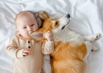 Cachorro e bebê parecem pequenas esponjinhas, que estão sempre observando e ouvindo tudo
Fonte: Freepik