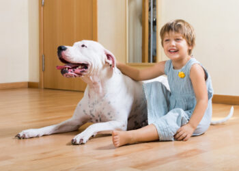 Cachorro faz bem para as crianças
Foto: Freepik