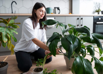 Mulher cuidando de plantas
Foto: Freepik